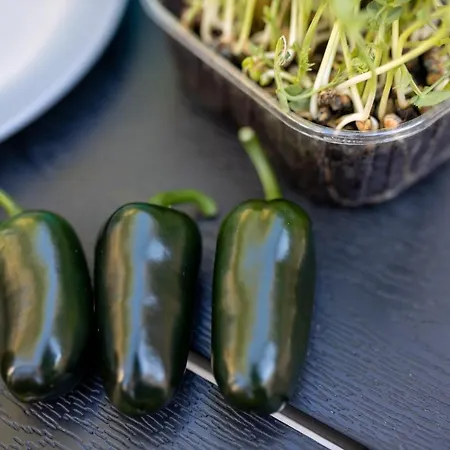 Arca, Sea View/sauna/open/closed/heated Pool