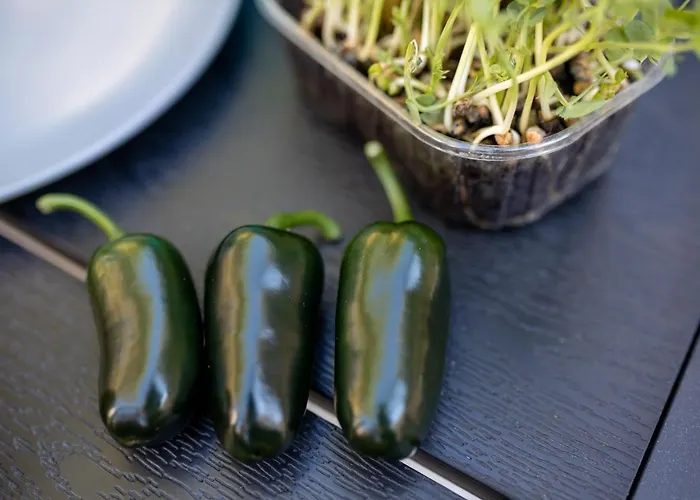 Arca, Sea View/sauna/open/closed/heated Pool